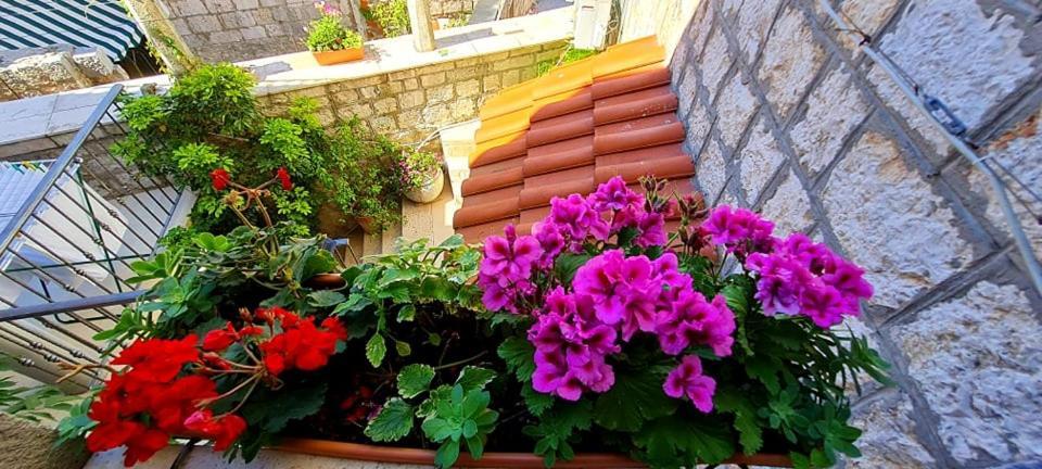 Bed & Breakfast Dionis Vis Zewnętrze zdjęcie